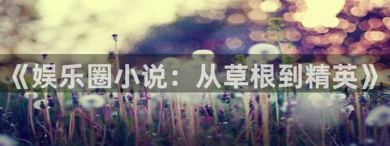 高德娱乐