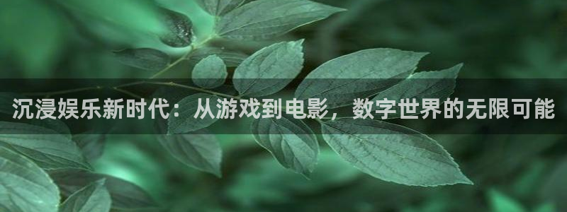 高德娱乐