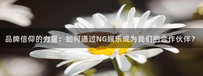 高德娱乐