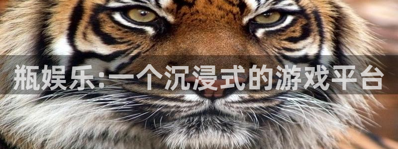 高德娱乐