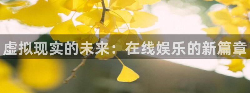 高德娱乐