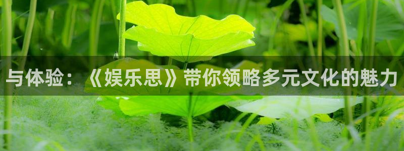 高德娱乐