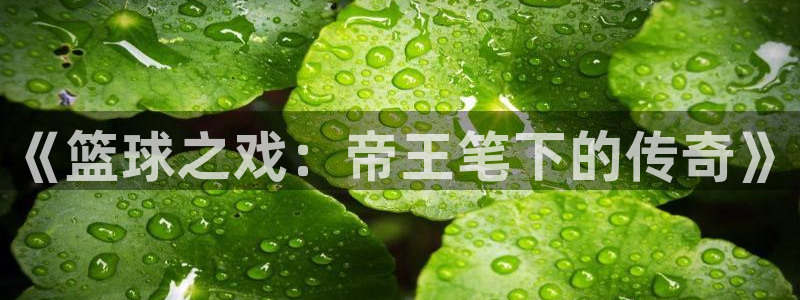 高德娱乐