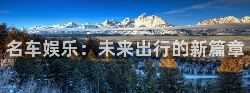 高德娱乐